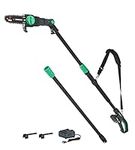 Amazon Brand - Denali by SKIL 20V Brushed 8-Inch Pole Saw Kit, Includes 2.0Ah Lithium Battery & Charger