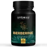 Ambrosial Berberine HCL 500mg per Capsule | High Strength Berberine Supplement for Healthy Heart Functions | Supports Healthy Blood Sugar Levels (Pack of 1-60 Capsules)