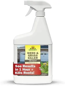 Neudorff W