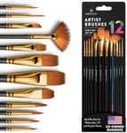 Professional Artist Paint Brush Set