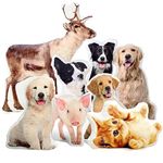 Ferocity Personalised 3D Cushion Pet dog cat pillow Gift with your Photo and text (50 x 35 cm) Print Image Gift for any Occasion (with filling) 3D Animal Pillow [091]