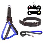 PAYTON PERRY Personalized No Pull Dog Harness Leash Collar Combo for Small Medium Large Dogs | with Custom Name Tag | Soft Padded, Adjustable (Recommended for 05-13KG Pet) (Small, Black-Blue)