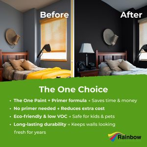 THE ONE Black Matte Paint, 250ml – Multi-Surface Interior & Exterior