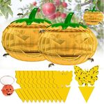 Rfirady Wasp Fly Traps, 2 Pack Wasp Nest Decoy with 10 Pcs Sticky Traps and a Pumpkin Pendant, Reusable Hanging Flying Insect Bee Hornet Traps Catcher for Outdoors, Indoor, Halloween Decor(Yellow)