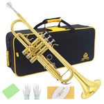 Yasisid Bb Standard Trumpet Set, Brass Adults Play Western Wind Instruments for Beginners or Advanced Students, with Hard Case, Cleaning Kit, 7C Mouthpiece, Cloth and Gloves, Golden