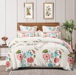 DECOR2ADMIRE 300 Thread Count Premium Cotton Queen Size Printed Double Bedsheet with Two Pillow Covers for Home 90 Inches x 100 Inches (Pista-Cream Floral)