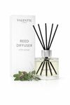 Valentte Reed Diffuser - Patchouli & Eucalyptus Scent | Essential Oil Aroma for Home | 100 ml