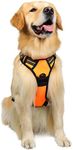 Rabbitgoo Dog Harness No-Pull Pet H