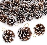 50 Christmas Pine Cones, Natural Pinecones Ornament Snow Pine Cone Decorations With String for Gift DIY Crafts Home Xmas Tree Wreath Dried Garland Holiday Winter Decoration (Assorted Sizes 3 to 6cm)