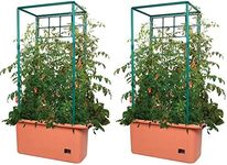 Hydrofarm GCTR 10 Gal Tomato Trelli