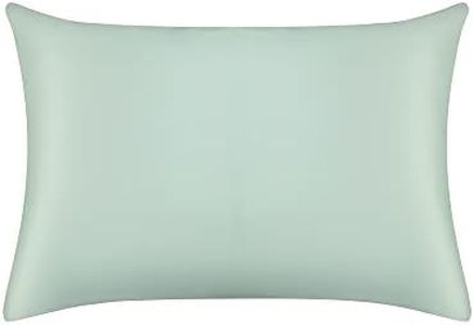 Jasmine Silk 100% 19 Momme Mulberry Charmeuse Silk Pillowcase for Hair and Skin 50 cm x 75 cm Envelope Closure - RRP £35 (Duck Egg)