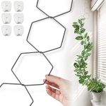 Chain Trellis for Climbing Plants - Indoor & Outdoor House Plant Accessories for Monstera, Pothos, Ivy, and More | Garden Wall Trellis and Plant Vine Support - Houseplant Accessories and Plant Gifts