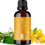 Focus Essential Oil Blend for Diffusers - Mint and Citrus Essential Oils Blend for Energy Focus and Attention Support - Essential Oil for Focus with Aromatherapy Oils for Diffusers and Humidifiers