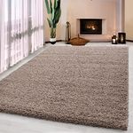 UETIAN Luxurious Shaggy Rugs Soft Extra Thick Area Rugs Heavy 5cm Dense Pile for Living Room Bedroom Hallway (Dark Beige, 160 x 230cm)