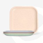 Eha Set of 4 Earth-Friendly Snack Plate | 8 inch |Snacks Serving Plates Made with Bamboo Fibers & Rice Husk Fiber | Microwave Safe Plates |Plates for Hot & Cold Servings |Multi Colour