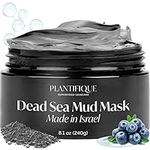 PLANTIFIQUE Dead Sea Mud Mask for F