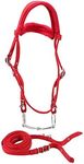 Tnfeeon Horse Bridle Reins, Adjustable Horse Bridle Rein Harness Headstalls Removable Snaffle with Soft Cushion