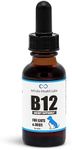 Liquid Vitamin B-12 for Dogs and Ca