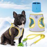EXPAWLORER Dog Cooling Vest - Step in Dog Cooling Harness and Leash Set with Dog Cooling Bandana, Breathable Adjustable No Pull Puppy Reflective Harness, Summer Outdoor Harness for Dogs, Grey S