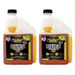 Hot Shot's Secret Everyday Diesel Treatment 16 Ounce 2 Pack (HSSEDT16ZSP2), Amber