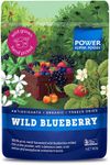 Wild Blueberry Powder 60g - Certified Organic