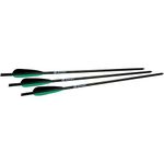 Barnett Outdoors Carbon Crossbow 22-Inch Arrows with Field Points (5 Pack)