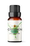 Cinnamon Apple Christmas Fragrance Oil, 10ml (Ideal for Aromatherapy, Oil Burner, Diffuser, Home Made Making, Potpourri, Candle, Soap, Slime, Bath Bomb, Air Freshener)