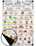 Safe and Toxic Foods for Dogs and Cats Essential Pet Health Guide fridge MAGNET - Size A4 (8.3 x 11.7 inch)