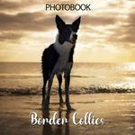 Border Collies Photobook: A Wonderf