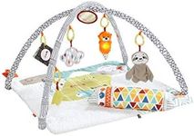 Fisher-Price Perfect Sense Deluxe G