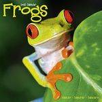 Frogs Calendar - 2016 Wall calendars - Animal Calendar - Monthly Wall Calendar by Avonside