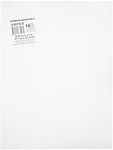 Darice Plastic Canvas 14 Mesh White, 21 cm X 27.9 cm X 0.03 cm