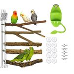 6 PCS Bird Parrot Perches for Cage Pepper Tree Bird Toys Natural Tree Branches Parrot Bird Perch Wood Suitable for Budgies,Lovebirds,Small and Medium-Sized Bird Cages Accessories Add a Bird Food Rack