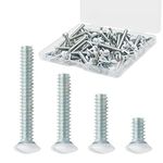 6-32 Wall Plate Screws, Taezn 100 Packs Outlet Screws 4 Length Sizes White Screws for Wall Plate Perfect Replacement for Light Switch Screws, Switch Plate Screws, Wall Outlet Cover Screws, etc