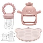 CLDY Baby Fruit Food Feeder & Mini Freezer Tray Combo, 4 Month+, Breastmilk Popsicle Freezer Molds for Baby Cooling Relief, BPA Free Silicone Feeder for Toddler Teething & Infant Self Feeding