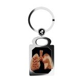 Stainless Steel Keychain with Liver Charm for Transplant Survivors, Organ Transplant Recipients, Organ Donors Gifts Awareness