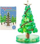 Playwrite Magic Growing Christmas Tree