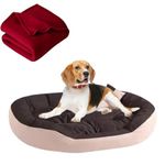 DRILLY Washable Dog/cat Bed with Blanket for Small | Medium | Large | Extra Large | XXL | 3XL | 4XL Size Dogs | Cats | Puppy | pet | Rabbit | Persian cat | Indoor cat (L)