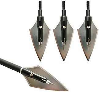 6 Pcs Archery Hunting Broadheads 2 Blades Arrowheads Stainless Steel Hunting Arrow Tips for Compound Recurve Bow Arrows (Type 1)