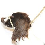 Dog & Field Figure 8 Anti-Pull Lead/Halter/Head Collar/Harness (Natural)