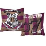 Harry Potter Muggles Square Cushion Pillow – Hogwarts Design