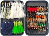 Raprance Fly Fishing Flies Kit with Fly Box，48/64/66/100 Fly Fishing Flies Assortment for Bass Trout Salmon Fishing(66 pcs Flies kit with Magnetic Fly Box)
