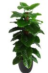 HYPERBOLES Big Indoor Artificial Money Plant Tree with Adjustable Branches Without Pot - 5 Ft/60inch