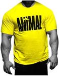 Animal Mens Iconic Pak Premium Tee T-Shirt, Yellow, X-Large US