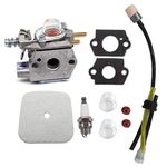 AISEN Carburetor with Air Filter for Echo Walbro WT-424 WT-424C PPT2400 GT-2400 PP-1250 SRM-2450