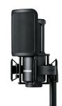 Shure SM4 Studio Recording Microphone Kit, XLR Home Studio Condenser Mic with Mix-Ready Audio - All-Metal Construction, includes Detachable Magnetic Pop Filter & Shock Mount (SM4-K-KIT)