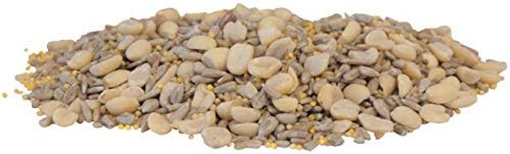 BestNest Wild Bird Seed Mix, Waste Free Blend, 50 lbs.
