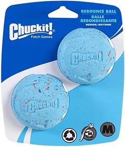 Chuckit! Medium Rebounce Ball 2.5", 2 Pack, Blues & Purples (20320)