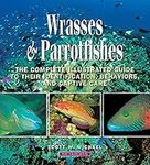 Wrasses & Parrotfishes: The Complet