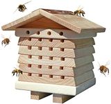 Wildlife World Interactive Solitary